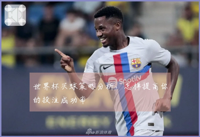 世界杯买球策略分析，怎样提高你的投注成功率