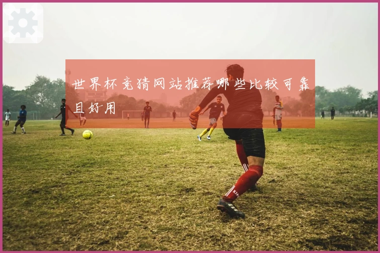 世界杯竞猜网站推荐哪些比较可靠且好用