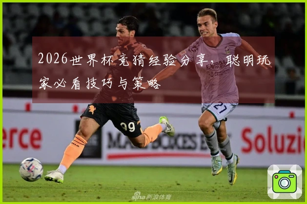 2026世界杯竞猜经验分享，聪明玩家必看技巧与策略