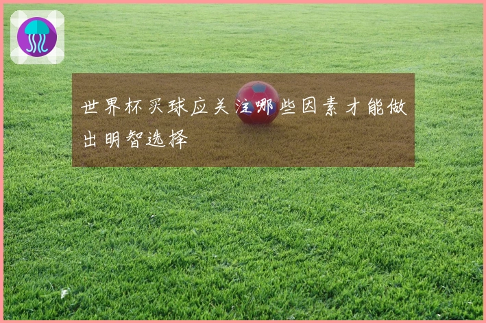 世界杯买球应关注哪些因素才能做出明智选择