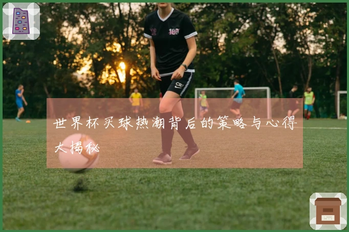 世界杯买球热潮背后的策略与心得大揭秘