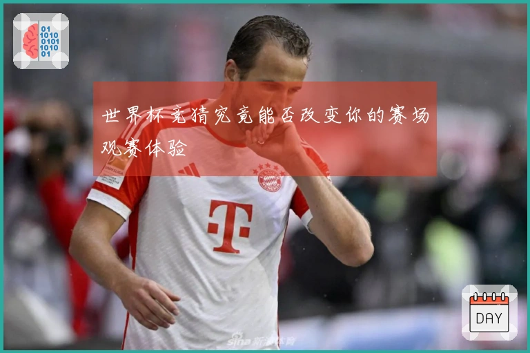 世界杯竞猜究竟能否改变你的赛场观赛体验