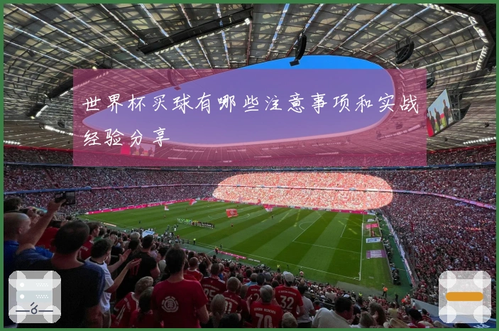 世界杯买球有哪些注意事项和实战经验分享