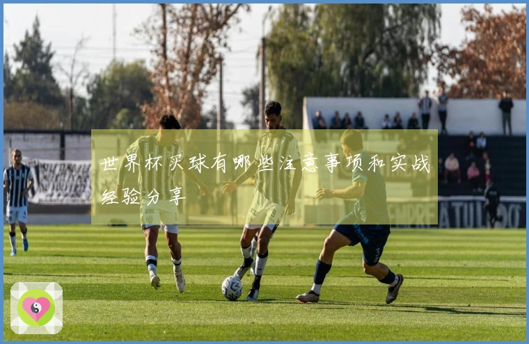 世界杯买球有哪些注意事项和实战经验分享