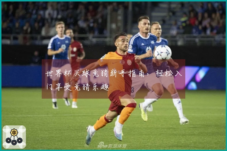 世界杯买球竞猜新手指南，轻松入门享受竞猜乐趣