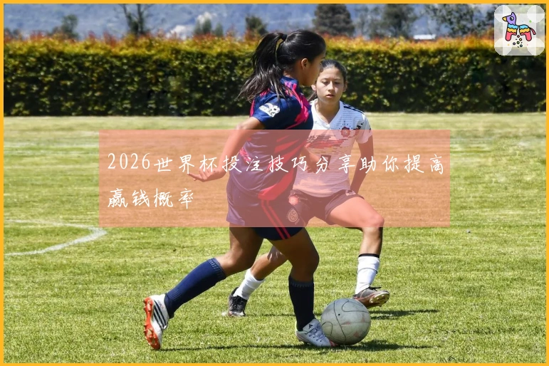2026世界杯投注技巧分享助你提高赢钱概率