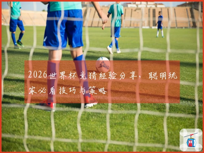 2026世界杯竞猜经验分享，聪明玩家必看技巧与策略