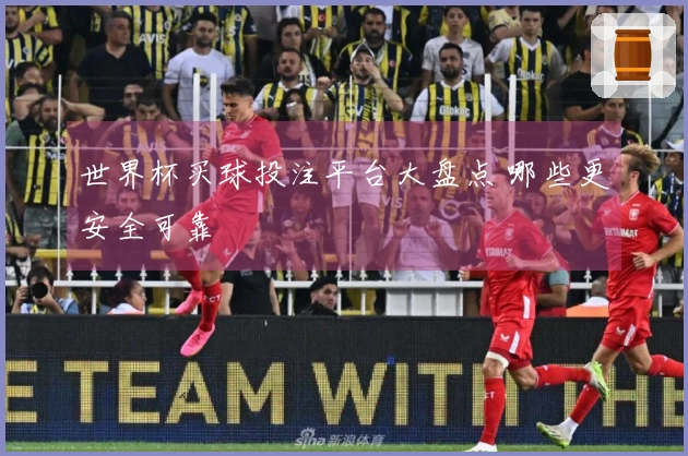 世界杯买球投注平台大盘点 哪些更安全可靠