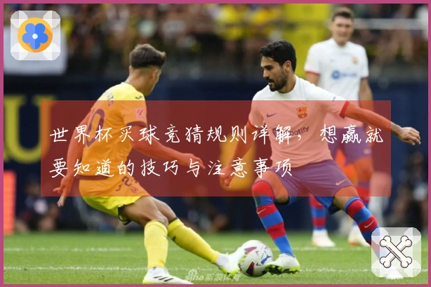 世界杯买球竞猜规则详解，想赢就要知道的技巧与注意事项