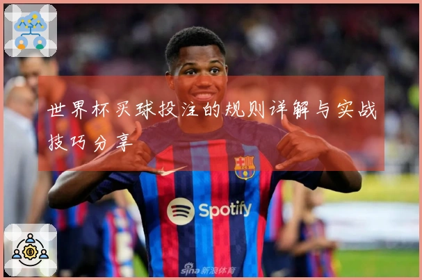 世界杯买球投注的规则详解与实战技巧分享
