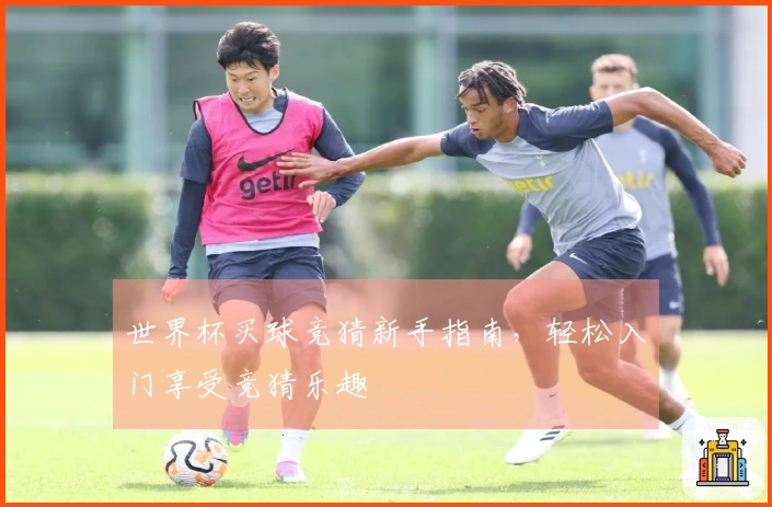 世界杯买球竞猜新手指南，轻松入门享受竞猜乐趣