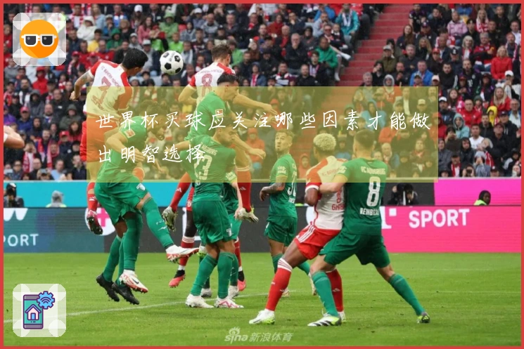 世界杯买球应关注哪些因素才能做出明智选择